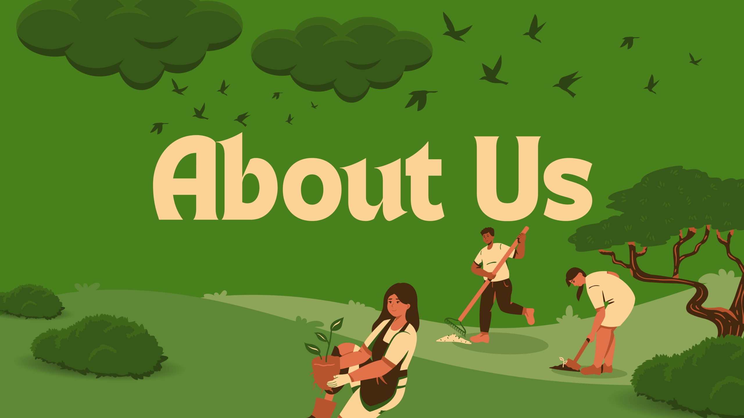 ABOUT US